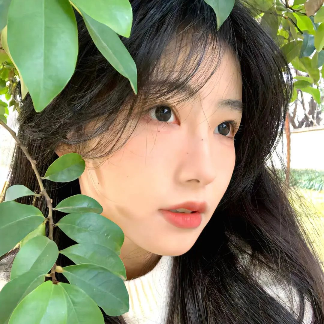 离狼之歌